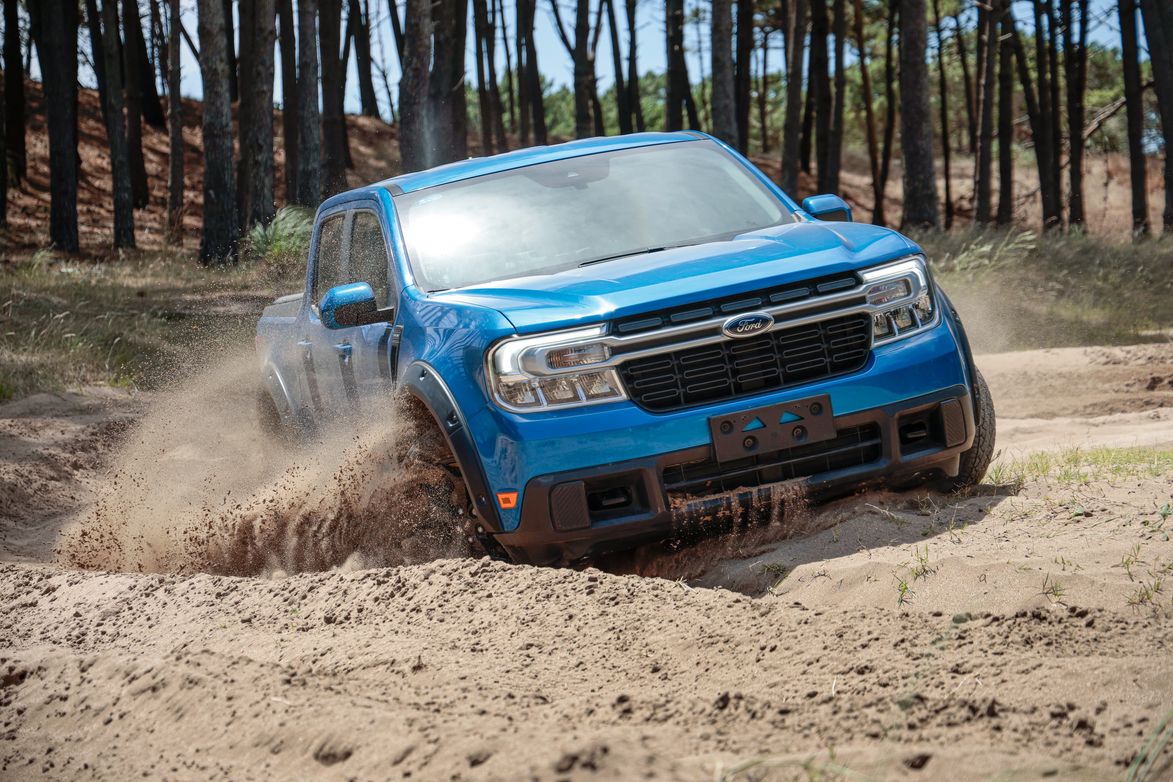 Ford Protect